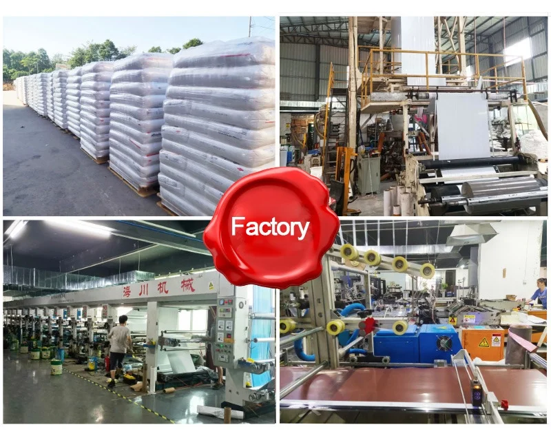 Sacchetti Postali Supplier Custom Logo Biodegradable Packing Courier Envelope Mailing Bag with Handle