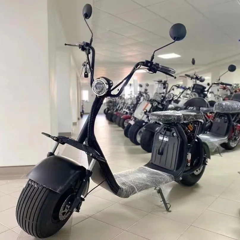 Max Speed 40km/h Wide Tire Electric Scooter Fashionable Citycoco Scooter with Seat