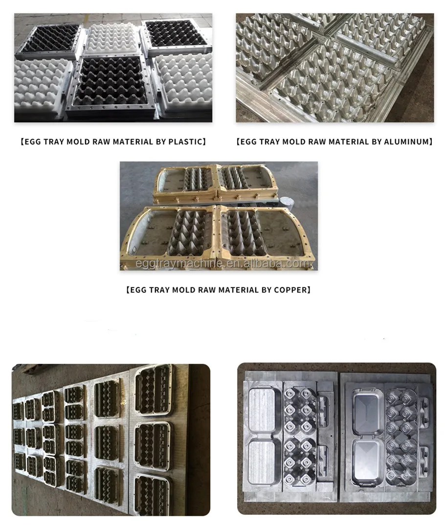 egg tray molds