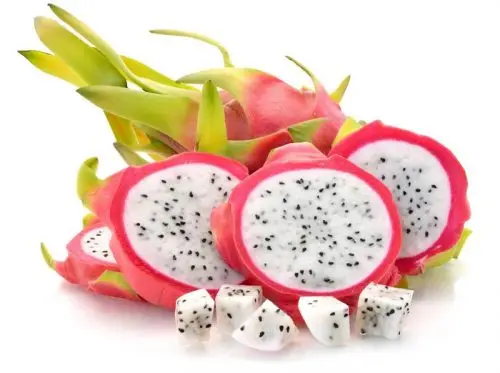 
Vietnam dragon fruit - 100% fresh dragon fruit 2020 