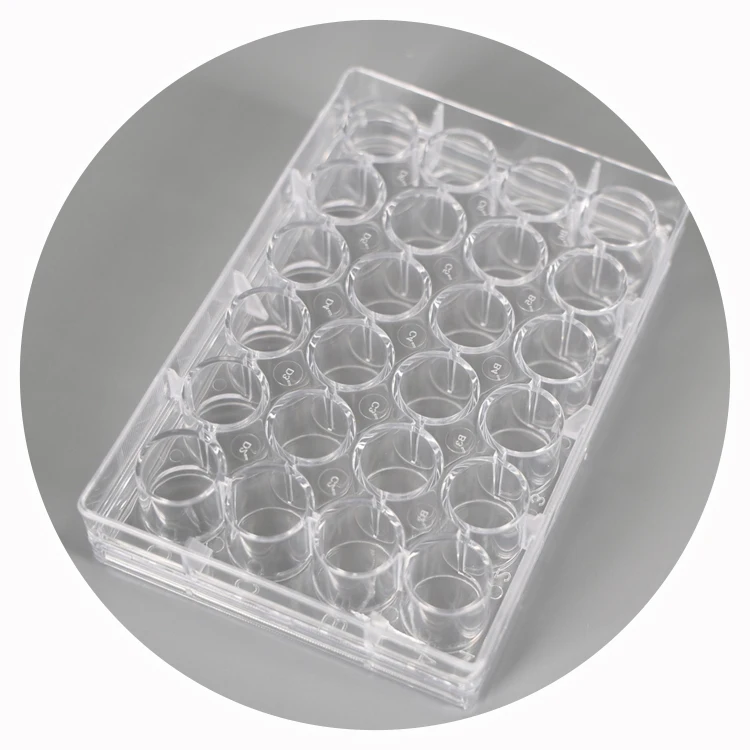 Flat Bottom Sterilized Laboratory 6 12 24 48 96 Wells Cell Culture Plate