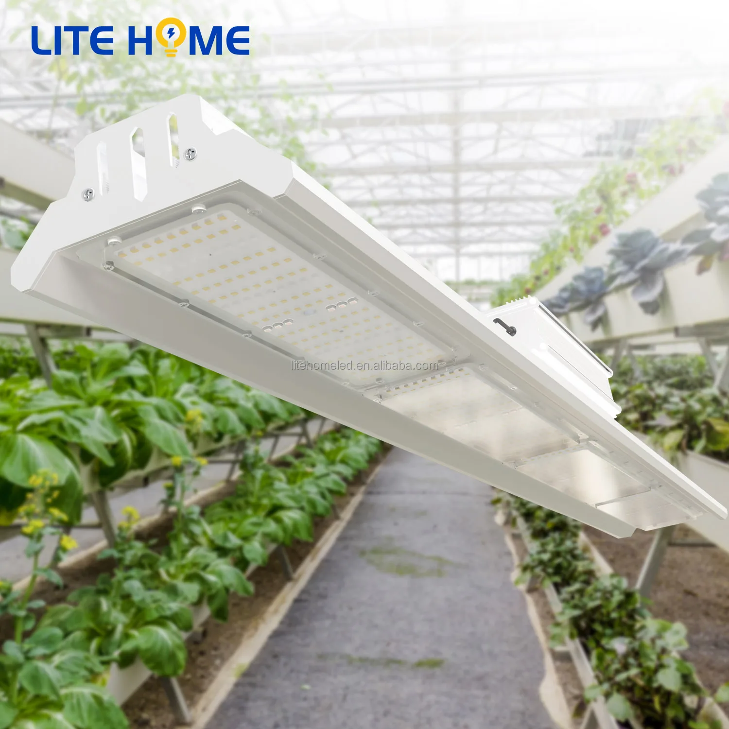 LED grow lights PB 4000 Grow Lights for Indoor plants Full spectrum High-performance Plant Led grow light with Samsung Diodes