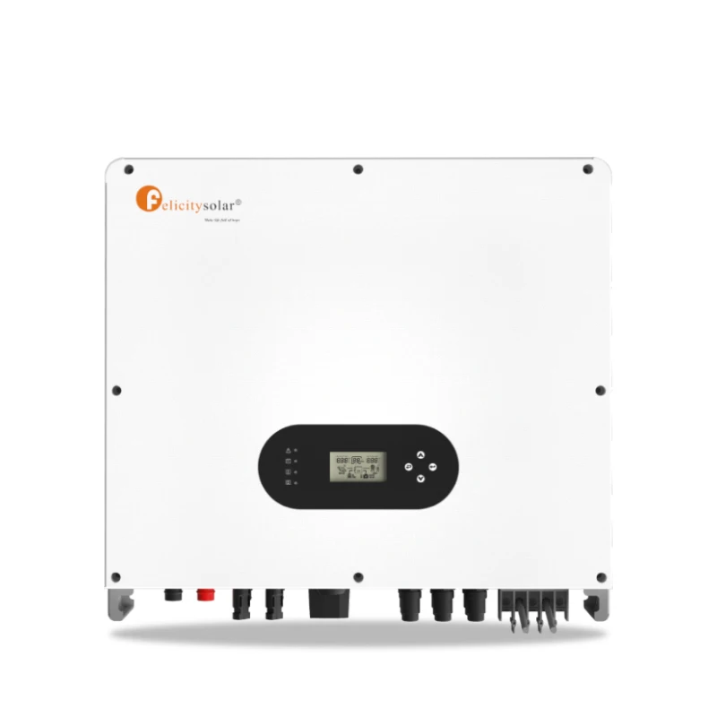 10 Years Warranty On/ Off Grid Hybrid Inverter Built-in 100A MPPT Charge Controller support Wifi for Mobile Monitoring Inverter