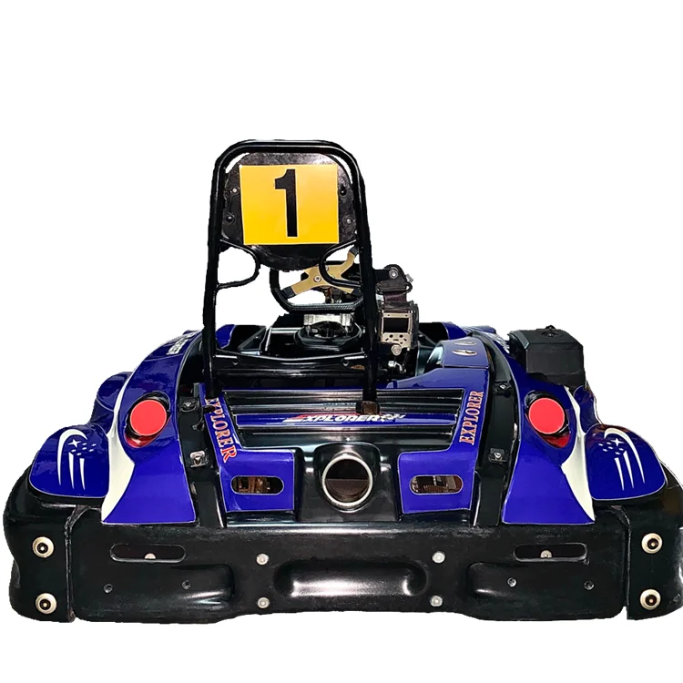 Хит продаж в Китае! Профессиональный Производитель 2-местный Racing корзину Go TS6 Прокат карт с