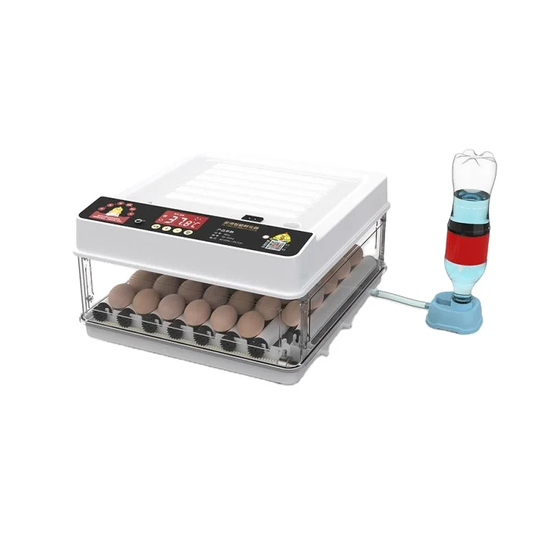 High hatchability new incubators mini 30 eggs Chicken Egg Incubator with adding water automatically for sale Egg incubators