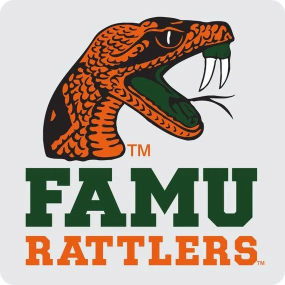Custom Florida A&M University Rattlers Rubber Croc Shoe Charms HBCU FAMU Hip Hop Shoe Charms Culture Croc Charms