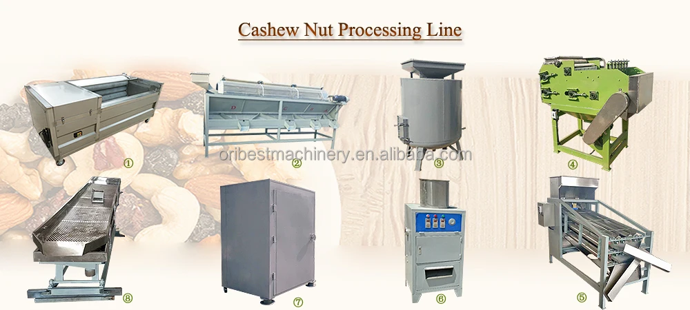 cashew machine (1).jpg