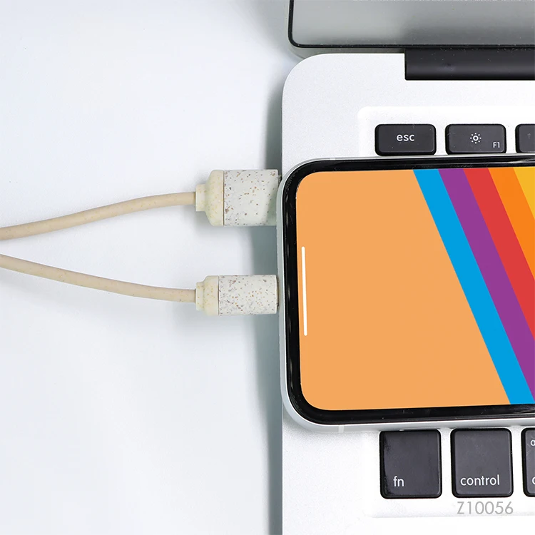 Кокосовая мочалка соломы Эко-дружественных 3 в 1 Многофункциональный USB кабель для зарядного устройства TYPE-C быстрое зарядное устройство брелок дома и на открытом воздухе