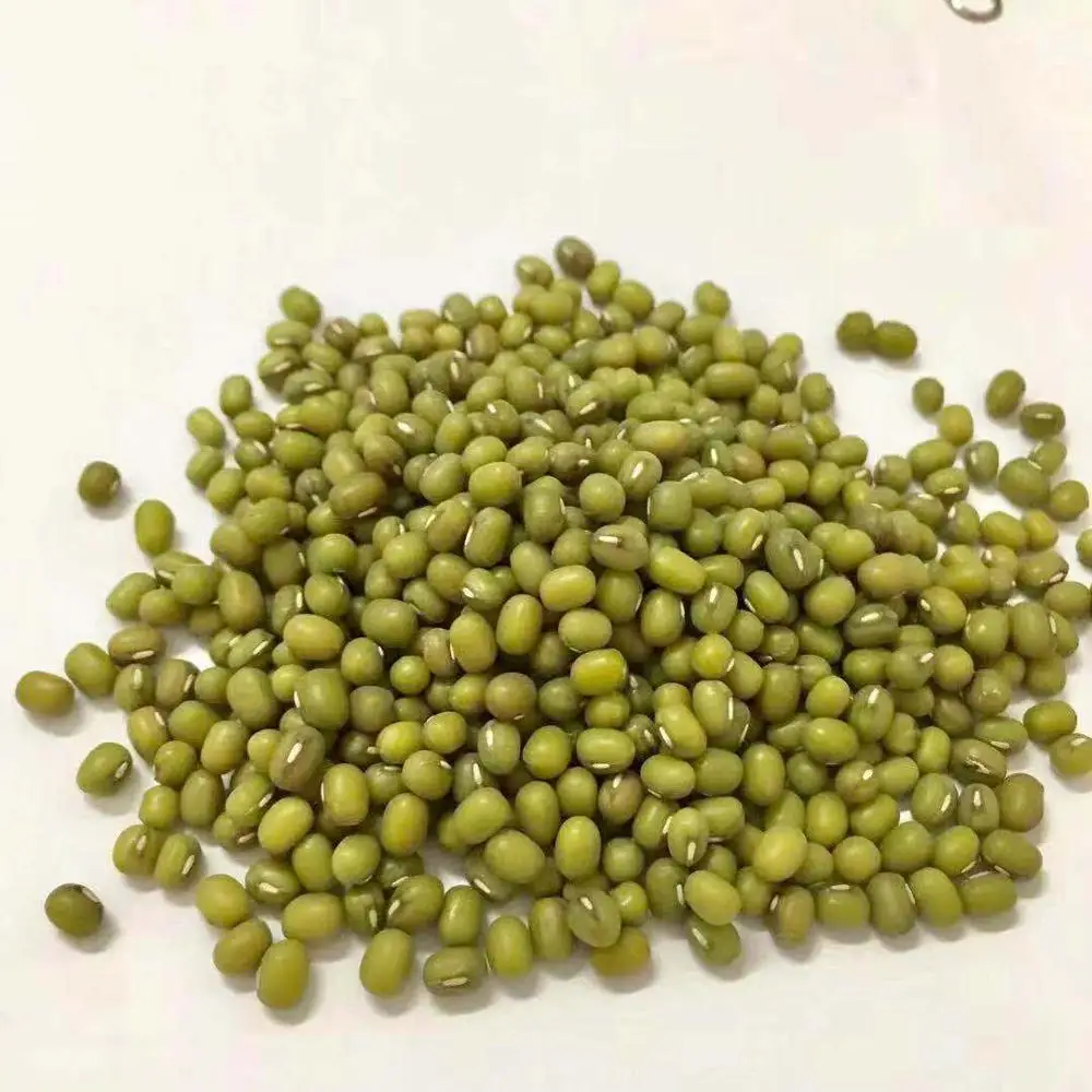 
Bulk Wholesale Green Mung Bean Seed 