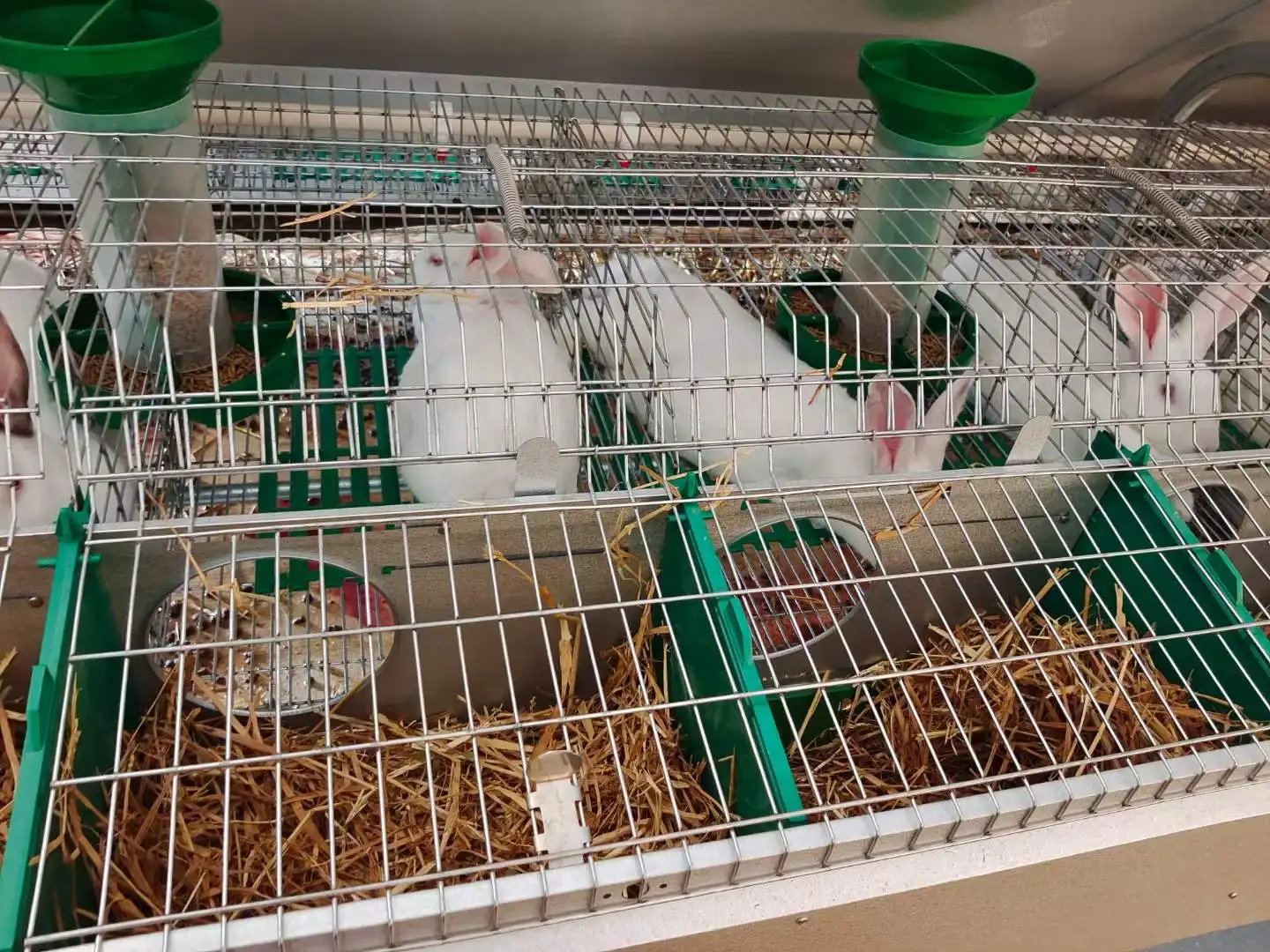 Stacking Rabbit Breeding Battery Cage for rabbit farm