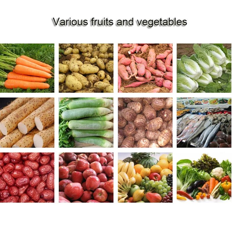 Vegetable Processing Machine/DAW650 industrial air fruit and vegetable washing machine