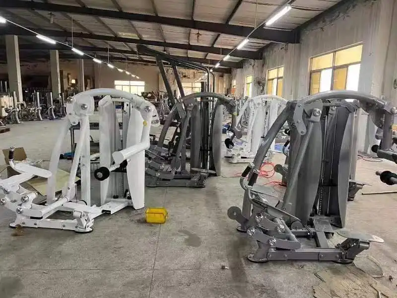 High end Pin-Load Seated Strength Machine Gluted Master From Manufacturers