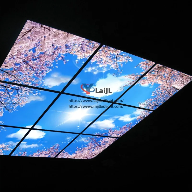 Jiaxing factory Cheap 600*600 603*603 2x2ft Sky Ceiling Light Panel Panel Light Cloud Sky Led Skylight Panel Ceiling