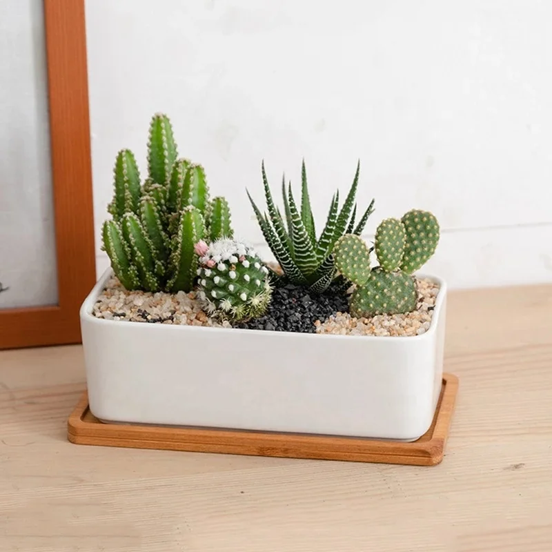 Succulent Pots Rectangular Cactus Planter White Ceramic Flower Planter Pot with Bamboo Tray for Indoor/Outdoor Flower Plants