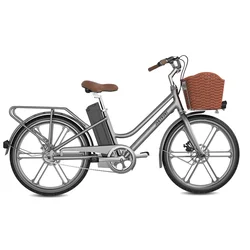 36V Cheap Electric Bike / 250W City Ebike / City Women Adult Step Through Electric Bicycle For Sale