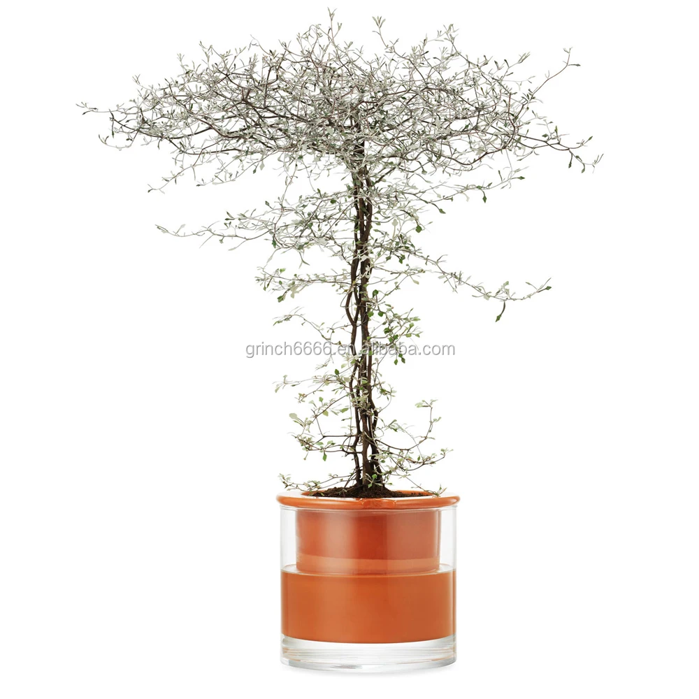 Terracotta Pots Wholesale Self Watering Pots for Plants Terracotta Planter with Glass Cup