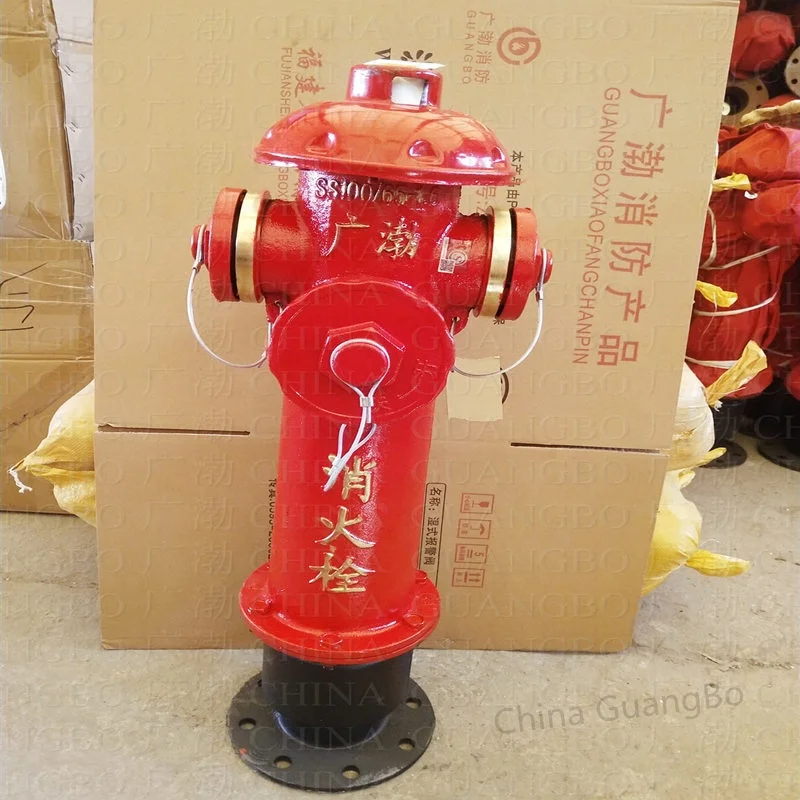 SS100 65-1.6 Outdoor Fire Hydrant_.jpg