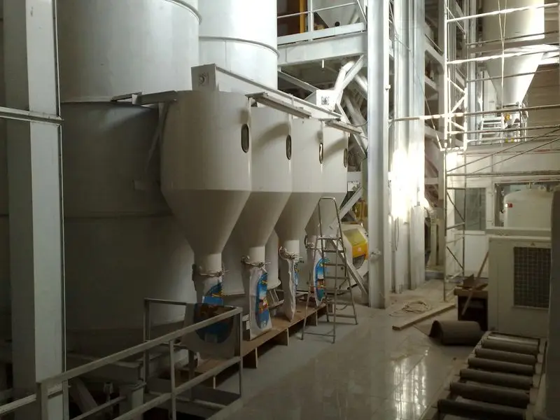 Оптовая продажа из Казахстана, зеленая линза, натуральные органические зеленые линзовые бобы первого класса, упаковка 50 кг