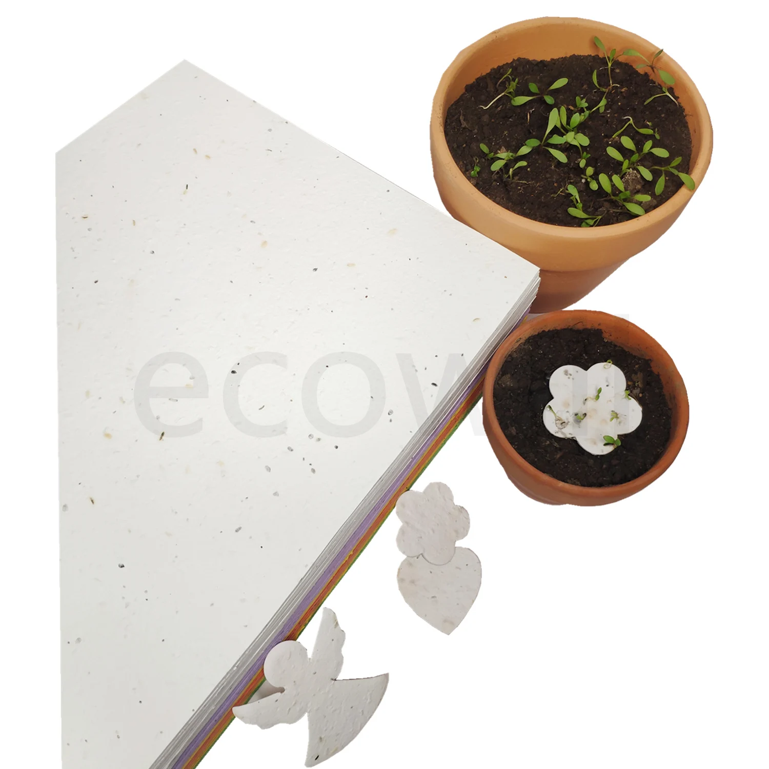 
Растительный Me плантационный карандаш для семян А4 бумажная карта 