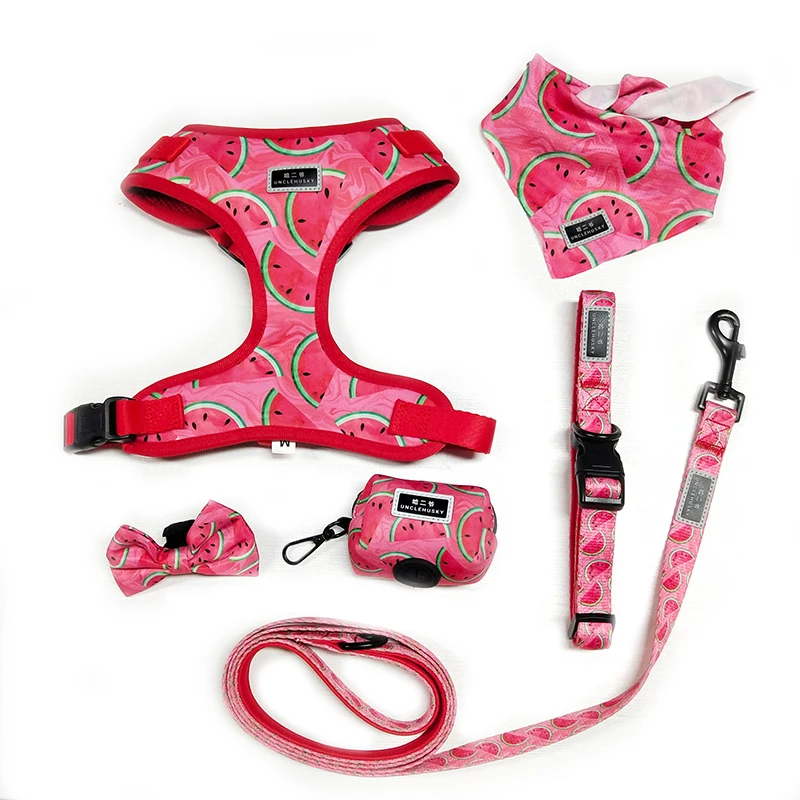 OEM Custom Logo Pattern  Pet Supplies Chest Harness Adjustable Soft Mesh Padded Reversible pet Dog Harness Lead Collar Set