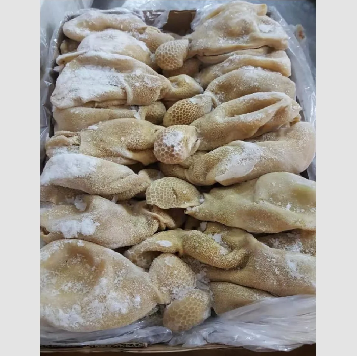 Beef Honeycomb / cow stomach cleaned / beef Omasum Salted Beef Omasum Organic Halal Cow tripe