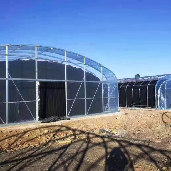 High strength Agricultural poly tunnel Green House/tomato greenhouse for sale