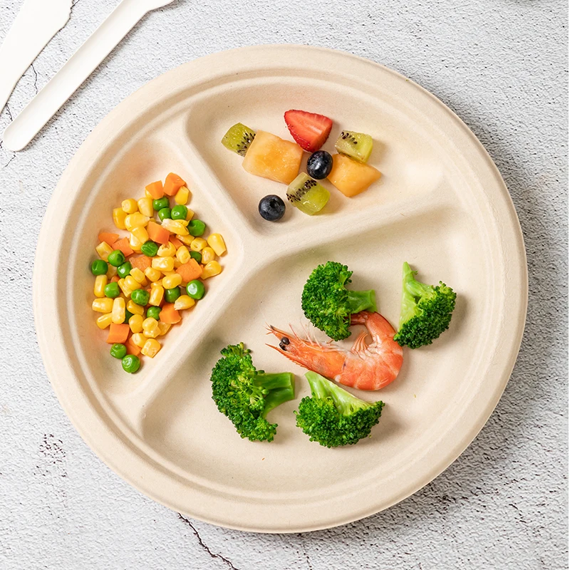 Custom 100% Compostable 9 10 Inch Round Heavy Duty Plates Sugarcane Paper Plates 3 Compartment Eco-friendly Disposable Camping