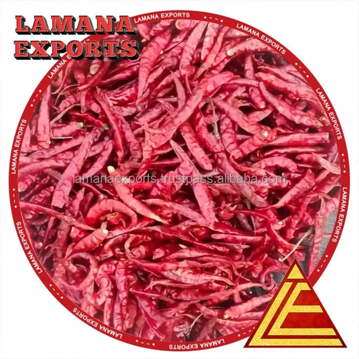 Chilli S17 Teja Stemless India Chilli Premium Quality for Thailand Guntur Hot Dried Red Chili Pepper Single Herbs & Spices Raw