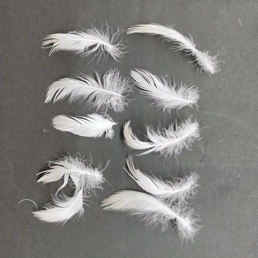 Sell Duck Feather 4-6cm Natural Wild Duck Hair Washed White Duck Feather for Filling