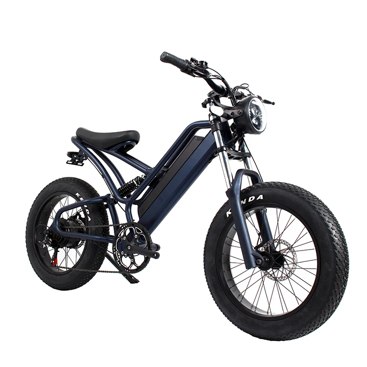 passenger 2 wheel electric fat tired cargo   .Front&Rear suspension  electric cargo bike ,factory electric ebike ,electric cycle