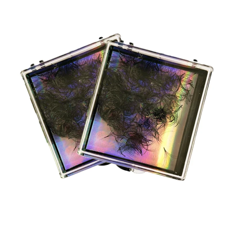 Loose Fans XL Trays Premade Fans Superroot Pointy Base Lashes PBT Silk C D Eyelash Extension Supplies Private Label