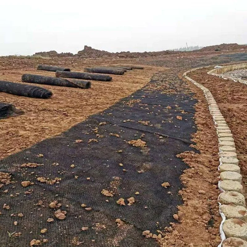 Slope Protection 400gsm 500gsm PA 3D-geomat  for Soil Erosion Prevention