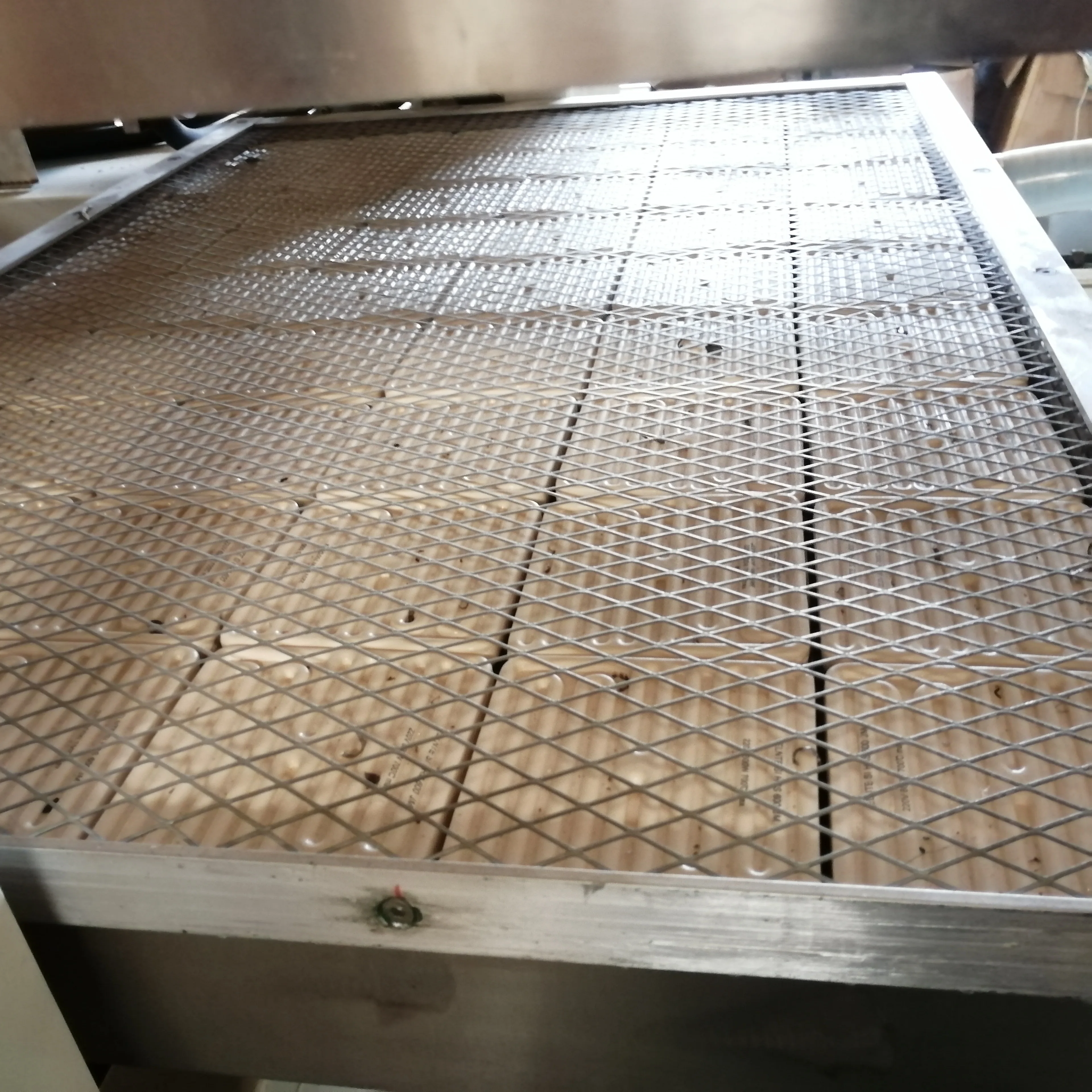 
automatic plastic food container making machine 