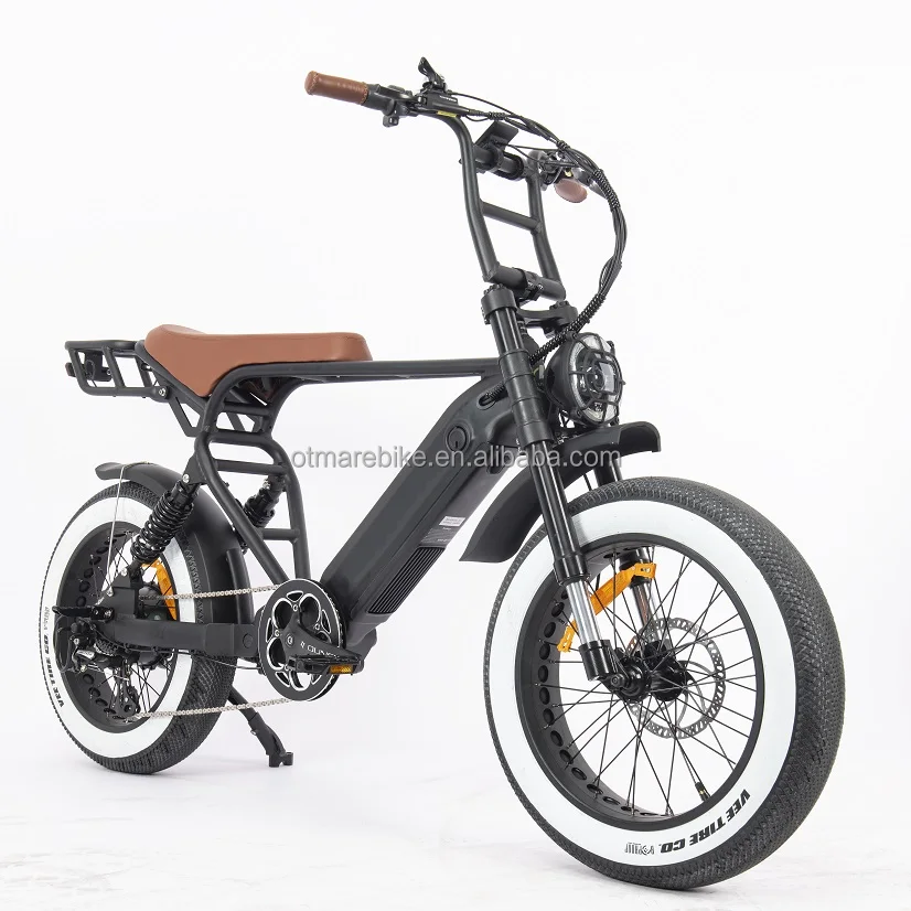 Powerful Full Suspension Electric Bicycle Dul Bike Big Tyre Double Lithium Battery 48v/52v Electric Fat Bike