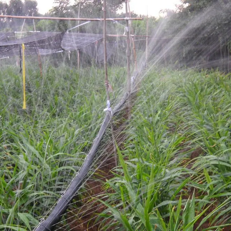 Irrigation System Agriculture Fast Shipping Rain Hose Irrigation System Micro Spray Tape