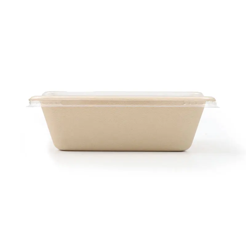 No PFAS compostable food container biodegradable take away lunch bento box 700ml disposable square food bowl with lid