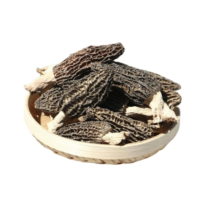 Factory Price Wholesale Mushrooms Morel Mushroom Farm Black Morel
