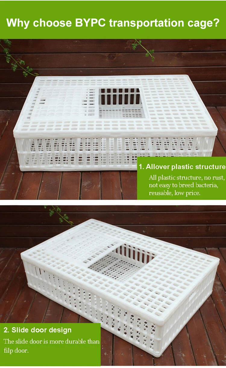 broiler cage (7).jpg