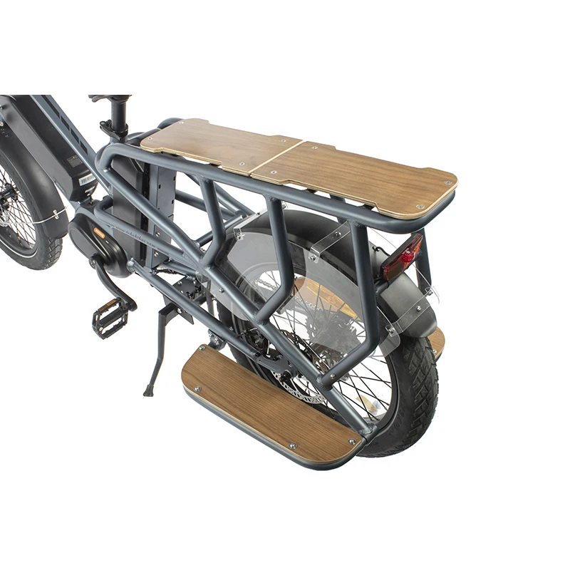 Wholesale Price 20 Inch Fat Tire Long Tail Ebike 48V350W 15Ah Dual Battery Electric Cargo Bike