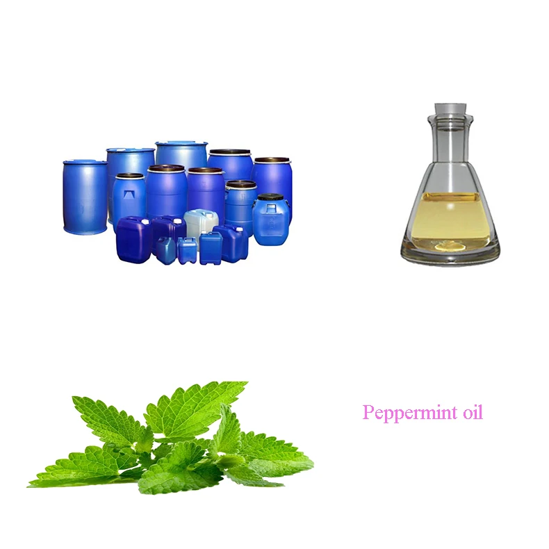 High Quality Fragrance Oil Peppermint Perfume Oil for Business China Supplier Aroma Oil Fragrance
