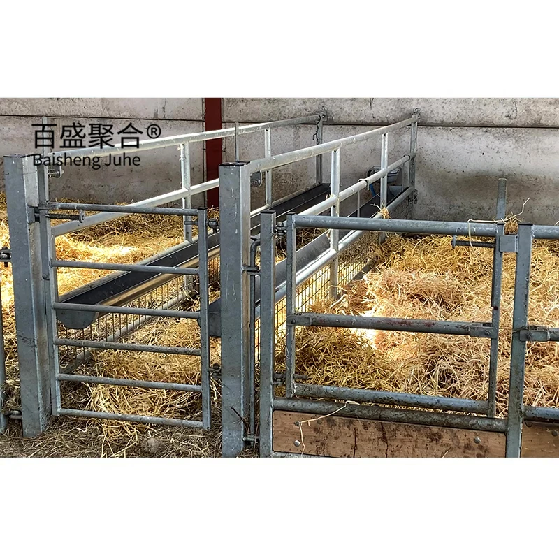 China manufacturer top quality sheep steel structure livestock farm sheds animal livestock