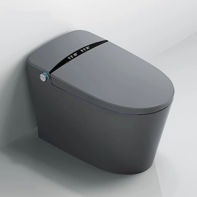 automatic water intelligent wc toilet bowl ceramic 120v smart toilet gray