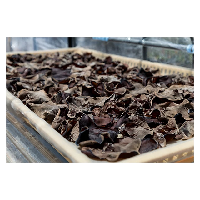 Pesticide-free japanese cooking seasoning 1 year from manufacture