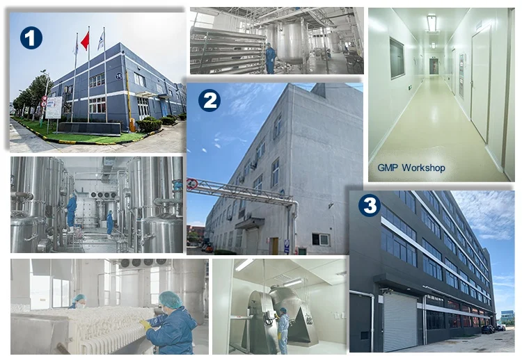 High purity customised chondroitin sulfate powder from bovine cartilage