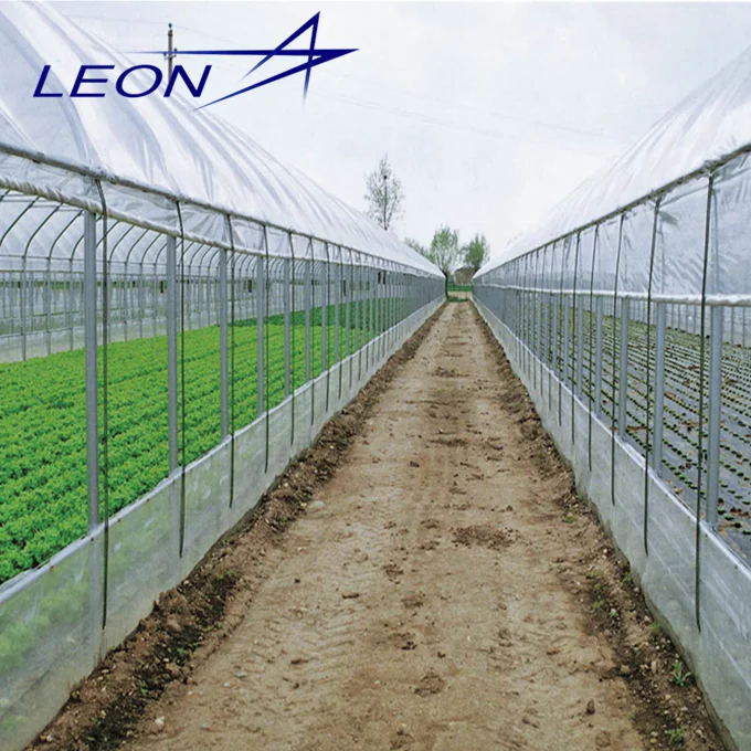 
Leon series best price hot sale plastic film and polycarbonate sheet greenhouse for sale 