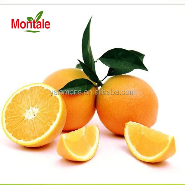 Montale Chinese Wholesale Orange Importer Navel Oranges Fresh Oranges