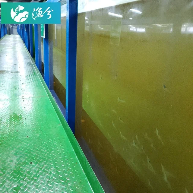 
Indoor fish farm / Intelligent Circulating Water Aquaculture Monitoring System 