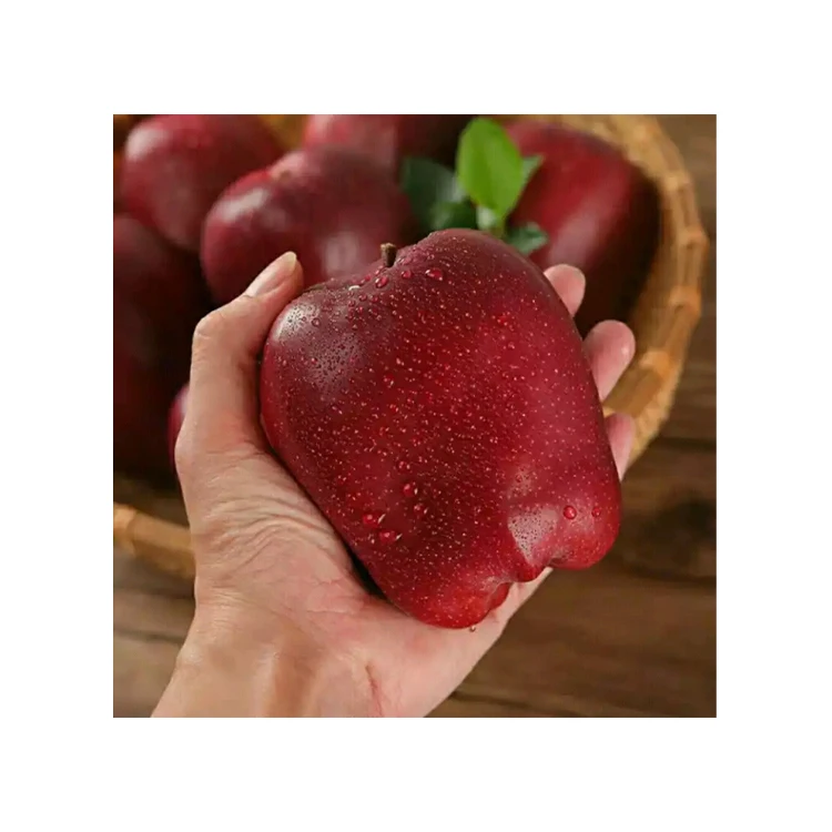 
75mm Full of fresh and delicious 100% natural cattle apples 