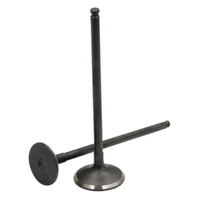 High Quality Motorcycle Factories Spare Auto Parts Diesel Engine Part Intake and Exhaust Valves