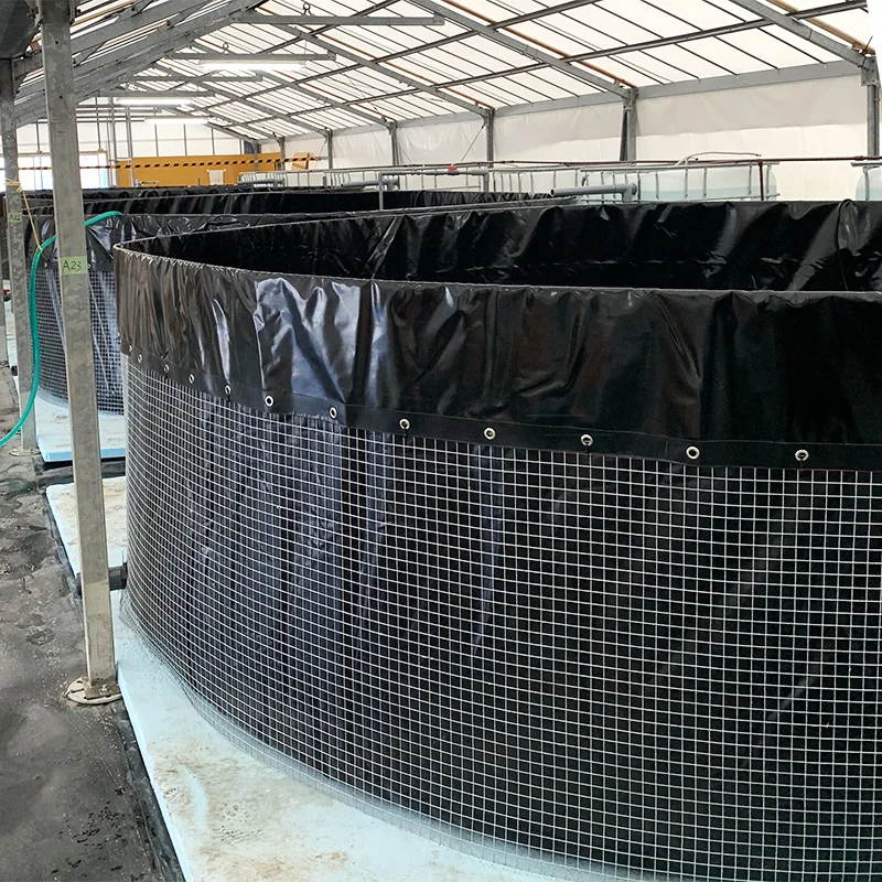 Customizable Fish Tanks For Sale Agriculture Plastic Irrigation Water Tank Large Fish Tank Material Aquaculture